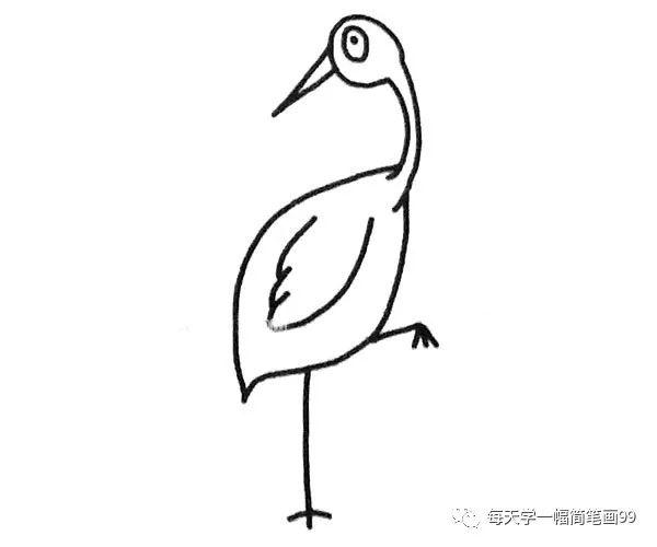 每天学一幅简笔画——漂亮的丹顶鹤简笔画图片大全