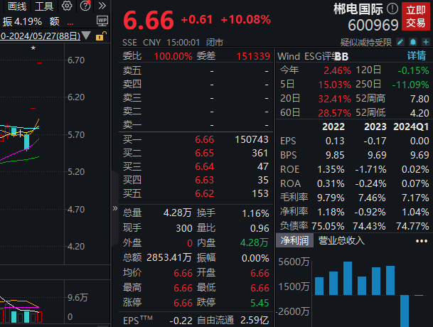 2连板郴电国际：股东汝城水电所持公司1444.65万股被司法冻结-公闻财经