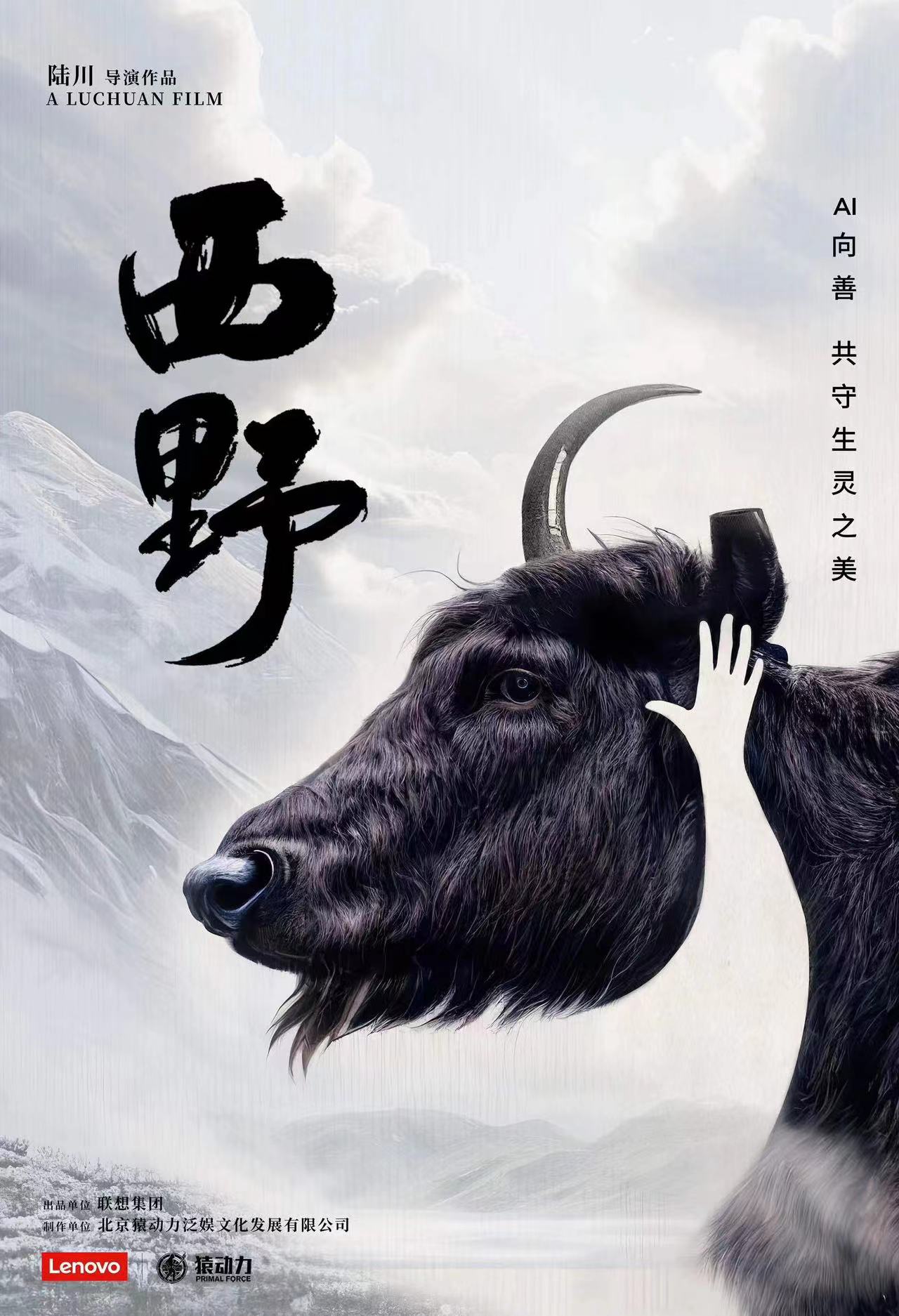 陆川新作《西野》首映，让更多人关注兔狲和雪豹-公闻财经
