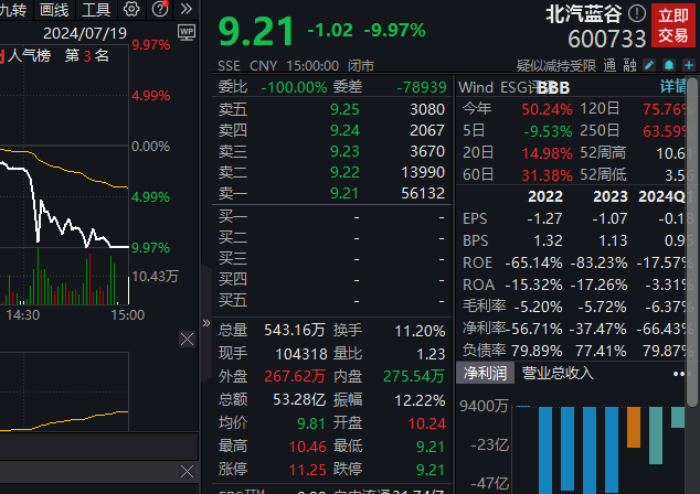 北汽蓝谷原董事长刘宇提交辞职报告，选举代康伟为董事长-公闻财经